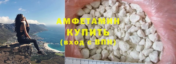 шишки Алзамай