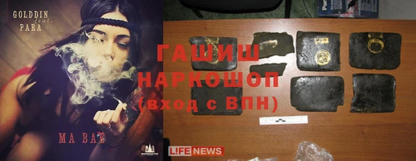 хмурый Алексин