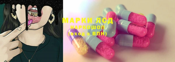 хмурый Алексин