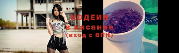 хмурый Алексин