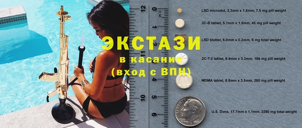 хмурый Алексин