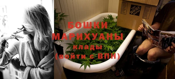 шишки Алзамай