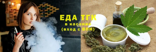хмурый Алексин