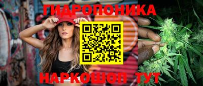 винт Обь