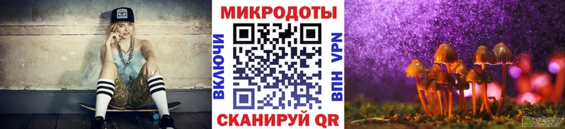 продажа наркотиков  Черкесск  Псилоцибиновые грибы MAGIC MUSHROOMS 