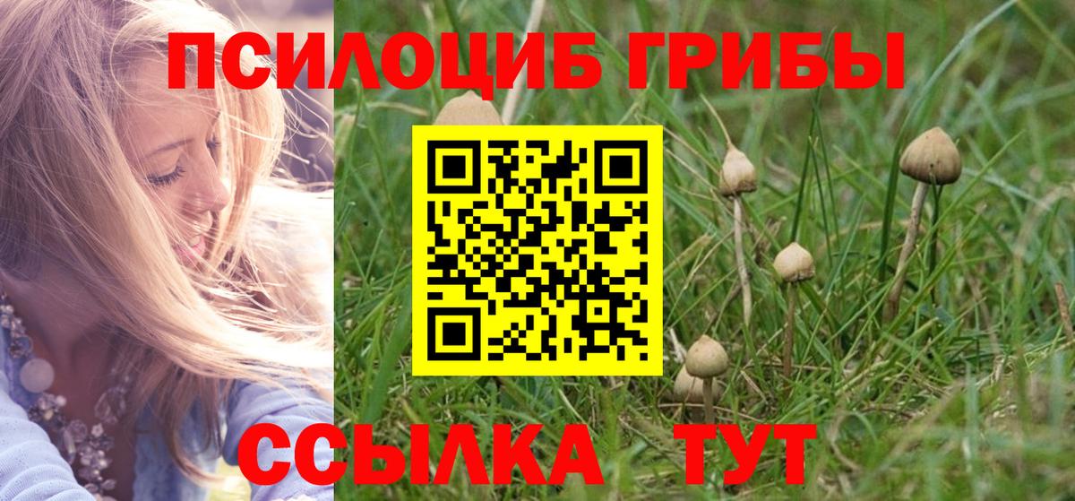 Псилоцибиновые грибы MAGIC MUSHROOMS Черкесск