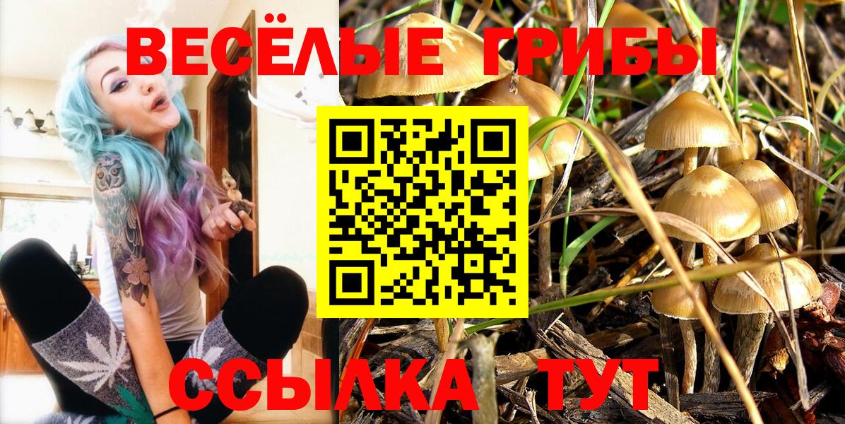 Галлюциногенные грибы мицелий  Вход с VPN  Черкесск 